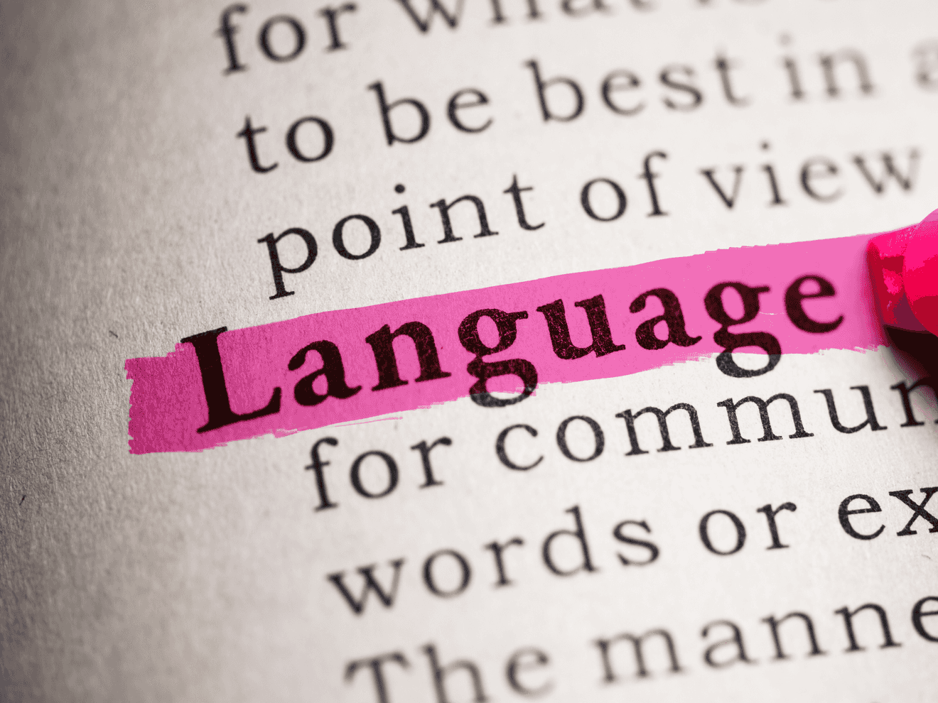 Figurative Language Night Zookeeper